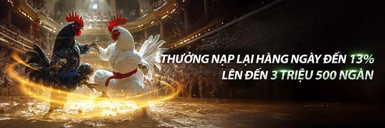 Sân chơi đá gà trực tuyến sôi động tại 88nw win