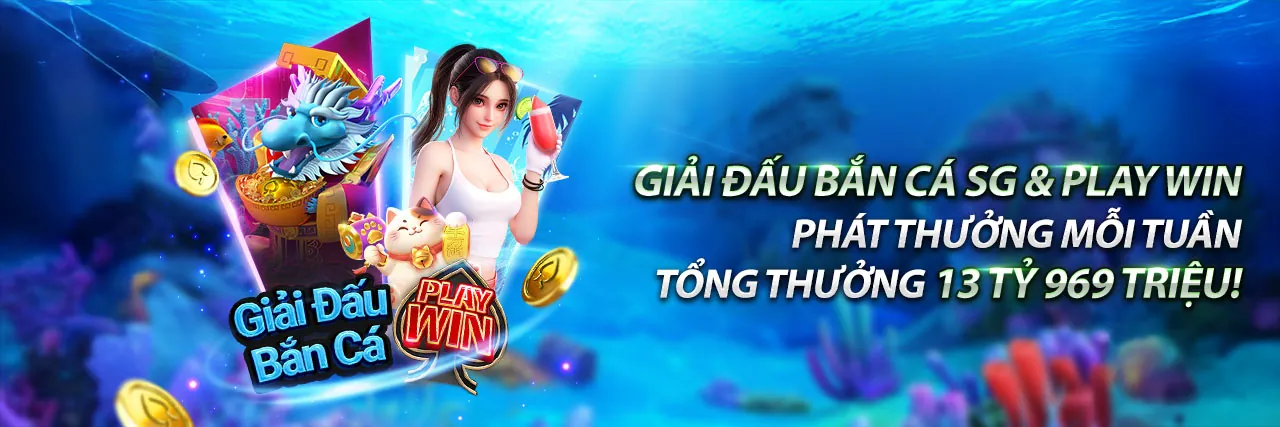 Trường gà trực tuyến sôi động